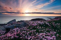 Isle of Staffa Coast, Scotland-Spumador-Photographic Print