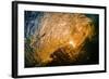 Spun Gold-Inside a tubing wave at sunset, shot from the water, Kirra, Queensland, Australia-Mark A Johnson-Framed Photographic Print