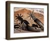 Spur 1-Barry Hart-Framed Art Print