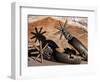 Spur 1-Barry Hart-Framed Art Print