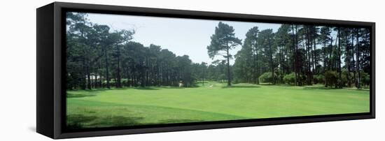 Spyglass Golf Course Pebble Beach Ca, USA-null-Framed Stretched Canvas