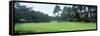 Spyglass Golf Course Pebble Beach Ca, USA-null-Framed Stretched Canvas