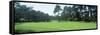 Spyglass Golf Course Pebble Beach Ca, USA-null-Framed Stretched Canvas