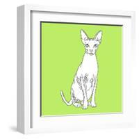 Spynx Cat-Anna Nyberg-Framed Giclee Print