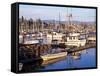 Squalicum Harbor with Mt. Baker, Bellingham, Washington-Jamie & Judy Wild-Framed Stretched Canvas