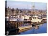 Squalicum Harbor with Mt. Baker, Bellingham, Washington-Jamie & Judy Wild-Stretched Canvas