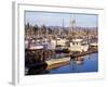 Squalicum Harbor with Mt. Baker, Bellingham, Washington-Jamie & Judy Wild-Framed Photographic Print