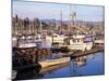 Squalicum Harbor with Mt. Baker, Bellingham, Washington-Jamie & Judy Wild-Mounted Photographic Print