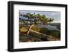 Squam Lake from West Rattlesnake Mountain, Holderness, New Hampshire-Jerry & Marcy Monkman-Framed Photographic Print