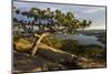 Squam Lake from West Rattlesnake Mountain, Holderness, New Hampshire-Jerry & Marcy Monkman-Mounted Photographic Print