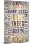 Squam Lake, New Hampshire - Barnwood Typography-Lantern Press-Mounted Art Print