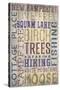 Squam Lake, New Hampshire - Barnwood Typography-Lantern Press-Stretched Canvas