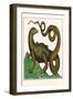 Squamata-Albertus Seba-Framed Art Print