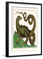 Squamata-Albertus Seba-Framed Art Print