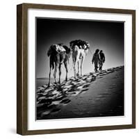 Square Black & White Image of 2 Men and 2 Camels in Sahara Desert-ABO PHOTOGRAPHY-Framed Photographic Print