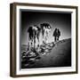 Square Black & White Image of 2 Men and 2 Camels in Sahara Desert-ABO PHOTOGRAPHY-Framed Photographic Print