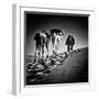 Square Black & White Image of 2 Men and 2 Camels in Sahara Desert-ABO PHOTOGRAPHY-Framed Photographic Print