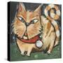 Square Cat-Tim Nyberg-Stretched Canvas