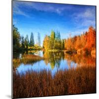 Square Fall-Philippe Sainte-Laudy-Mounted Photographic Print