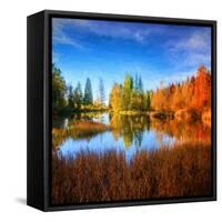 Square Fall-Philippe Sainte-Laudy-Framed Stretched Canvas