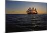 Square Rigger; Sail Race, Operation Sail Tall Ships; Sail Training Association; US Bi…, 1976 (Photo-Kenneth Garrett-Mounted Giclee Print