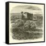 Canvas Black