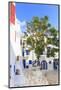 Square with blossoming tree, whitewashed buildings, blue sky, Mykonos Town, Mykonos, Cyclades, Gree-Eleanor Scriven-Mounted Photographic Print