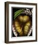 Squash Beans Corn indian Garden-null-Framed Art Print