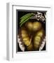 Squash Beans Corn indian Garden-null-Framed Art Print