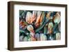 Squash blossoms, Hollywood Farmer's Market, Los Angeles,  California-Kymri Wilt-Framed Photographic Print