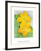 Squash Blossoms-Georgia O'Keeffe-Framed Art Print