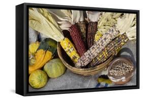 Squash, Corn, and Beans: the Three Sisters of Native American Agriculture-null-Framed Stretched Canvas