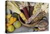 Squash, Corn, and Beans: the Three Sisters of Native American Agriculture-null-Stretched Canvas