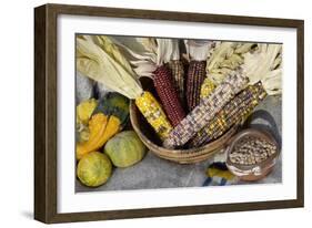 Squash, Corn, and Beans: the Three Sisters of Native American Agriculture-null-Framed Giclee Print