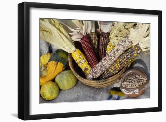 Squash, Corn, and Beans: the Three Sisters of Native American Agriculture-null-Framed Giclee Print