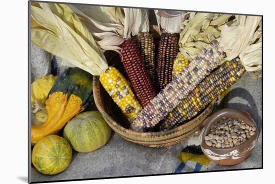 Squash, Corn, and Beans: the Three Sisters of Native American Agriculture-null-Mounted Giclee Print