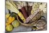 Squash, Corn, and Beans: the Three Sisters of Native American Agriculture-null-Mounted Giclee Print