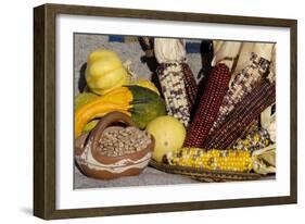 Squash, Corn, and Beans: the Three Sisters of Native American Agriculture-null-Framed Giclee Print