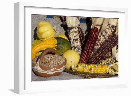 Squash, Corn, and Beans: the Three Sisters of Native American Agriculture-null-Framed Giclee Print