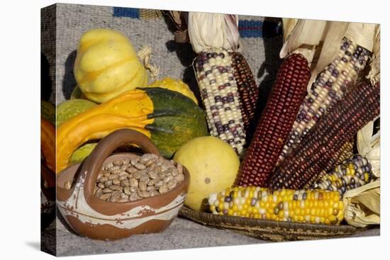 Squash, Corn, and Beans: the Three Sisters of Native American Agriculture-null-Stretched Canvas