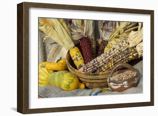 Squash, Corn, and Beans: the Three Sisters of Native American Agriculture-null-Framed Giclee Print