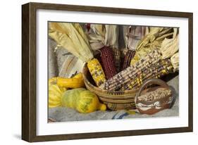 Squash, Corn, and Beans: the Three Sisters of Native American Agriculture-null-Framed Giclee Print