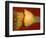 Squash Explosion-Alan Sailer-Framed Photographic Print