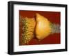 Squash Explosion-Alan Sailer-Framed Photographic Print