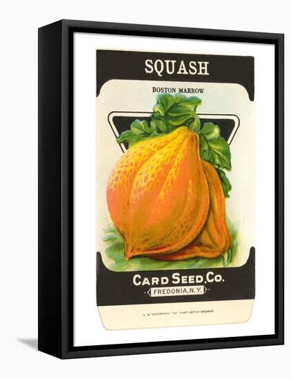 Squash Seed Packet-null-Framed Stretched Canvas