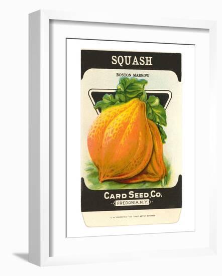 Squash Seed Packet-null-Framed Art Print