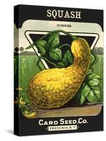 Squash Seed Packet-null-Stretched Canvas