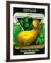 Squash Seed Packet-Lantern Press-Framed Art Print