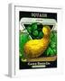 Squash Seed Packet-Lantern Press-Framed Art Print