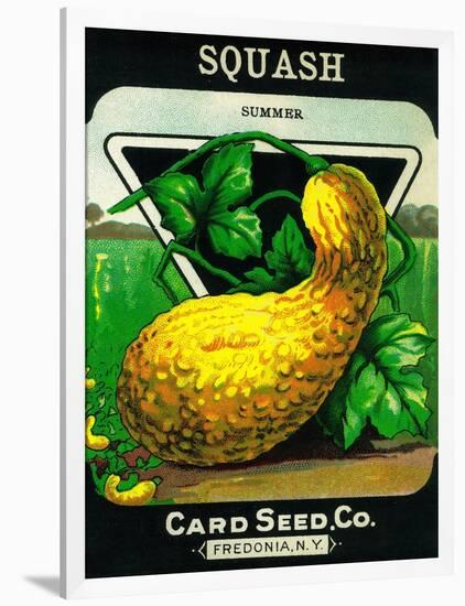 Squash Seed Packet-Lantern Press-Framed Art Print